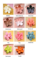 Hair Claw Clips