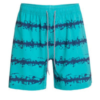 Mens Abstract Stripe Board Shorts
