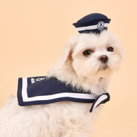 
              Anchors Away Pup!
            