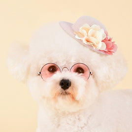 Puppy Fedora with Flower