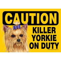 Killer Yorkie on Duty