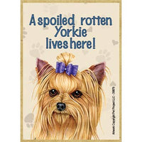 Spoiled Rotten Yorkie Magnet