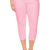 Capri Jeggings (Plus)