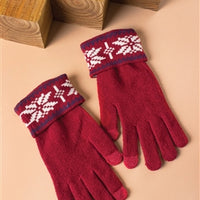 Snow It All Texting Gloves