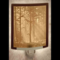 Lithophane Night Lights