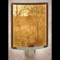 Lithophane Night Lights