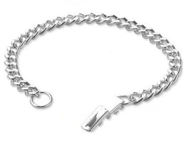 Silver Plated Charm Bracelet 8"